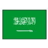 Saudi Arabia Logo